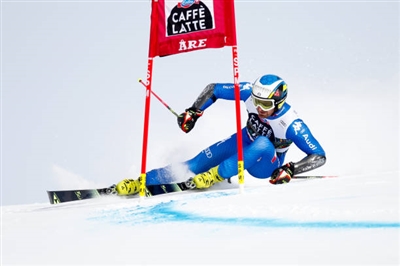 Manfred Moelgg posters