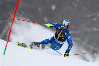 Manfred Moelgg posters