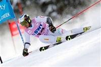 Manfred Moelgg tote bag #G2263283