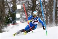 Manfred Moelgg longsleeve t-shirt #3649604