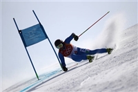 Manfred Moelgg hoodie #3649610