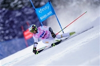 Manfred Moelgg t-shirt #3649611