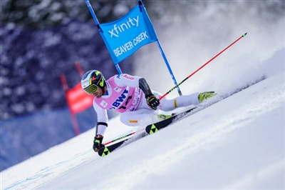 Manfred Moelgg posters