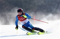 Manfred Moelgg hoodie #3649615