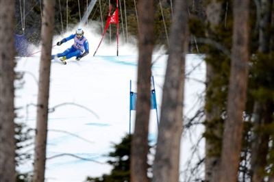 Manfred Moelgg posters