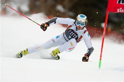 Manfred Moelgg posters