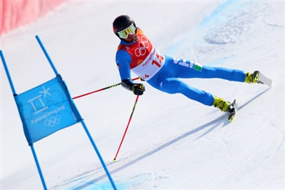 Manfred Moelgg posters