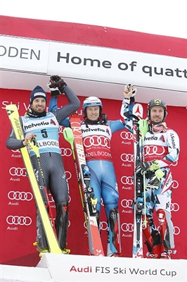 Manfred Moelgg posters