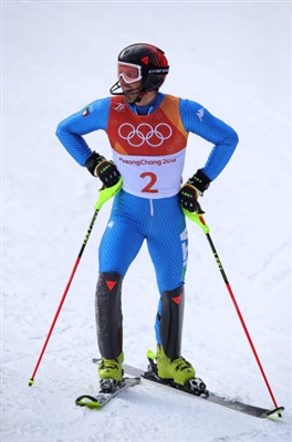 Manfred Moelgg posters