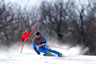 Manfred Moelgg posters