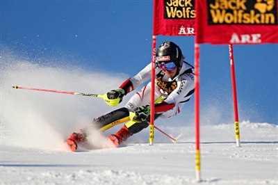 Manuel Feller posters