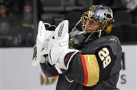 Marc-Andre Fleury Longsleeve T-shirt #3538722