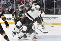 Marc-Andre Fleury Sweatshirt #3538788