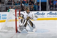Marc-Andre Fleury Sweatshirt #3538874