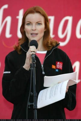 Marcia Cross posters