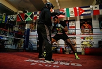 Marcus Browne hoodie #3602510