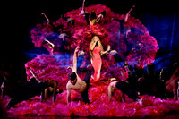 Mariah Carey longsleeve t-shirt #3740695