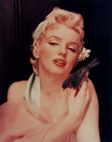 Marilyn Monroe t-shirt #2556850