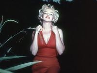 Marilyn Monroe t-shirt #2556877