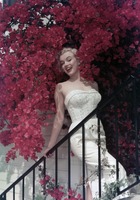 Marilyn Monroe t-shirt #2556907