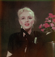 Marilyn Monroe t-shirt #2556958