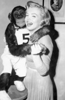 Marilyn Monroe t-shirt #2557004