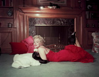 Marilyn Monroe t-shirt #2557034