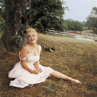 Marilyn Monroe t-shirt #2679610