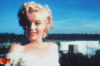 Marilyn Monroe t-shirt #2679760