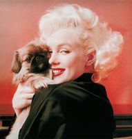 Marilyn Monroe hoodie #2679808