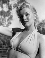 Marilyn Monroe t-shirt #2679973
