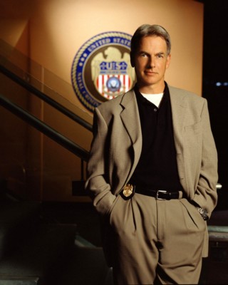 Mark Harmon puzzle 1365957