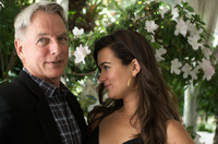 Mark Harmon Tank Top #2418409