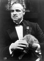 Marlon Brando Longsleeve T-shirt #2681906