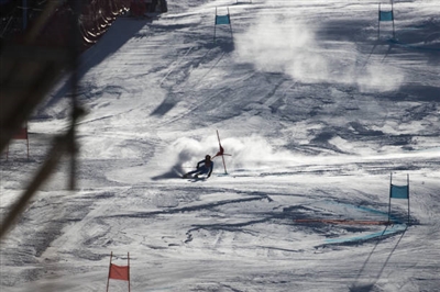 Marta Bassino posters