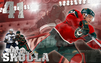 Martin Skoula posters