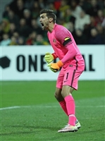 Mathew Ryan Sweatshirt #3348894