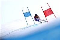 Mathieu Faivre mug #G2267350