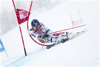 Mathieu Faivre Sweatshirt #3652232