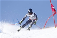 Mathieu Faivre Sweatshirt #3652252