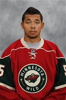 Matt Dumba mug #G1804372