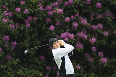 Matthew Fitzpatrick posters