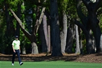 Matthew Fitzpatrick tote bag #G1737359