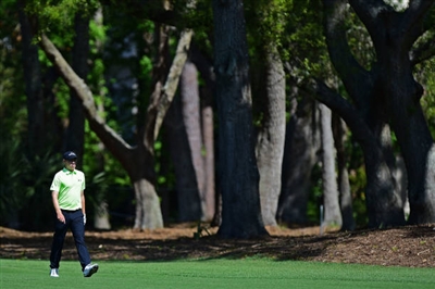 Matthew Fitzpatrick posters