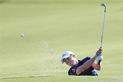 Matthew Fitzpatrick posters