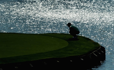 Matthew Fitzpatrick posters