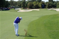 Matthew Fitzpatrick mug #G1737393