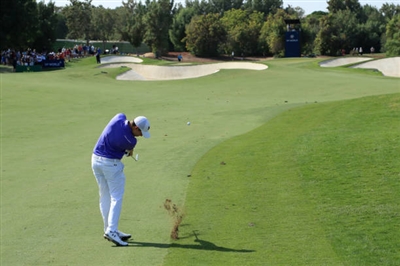 Matthew Fitzpatrick posters