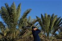 Matthew Fitzpatrick t-shirt #3495166