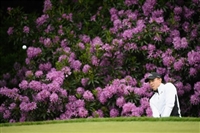 Matthew Fitzpatrick Tank Top #3495176